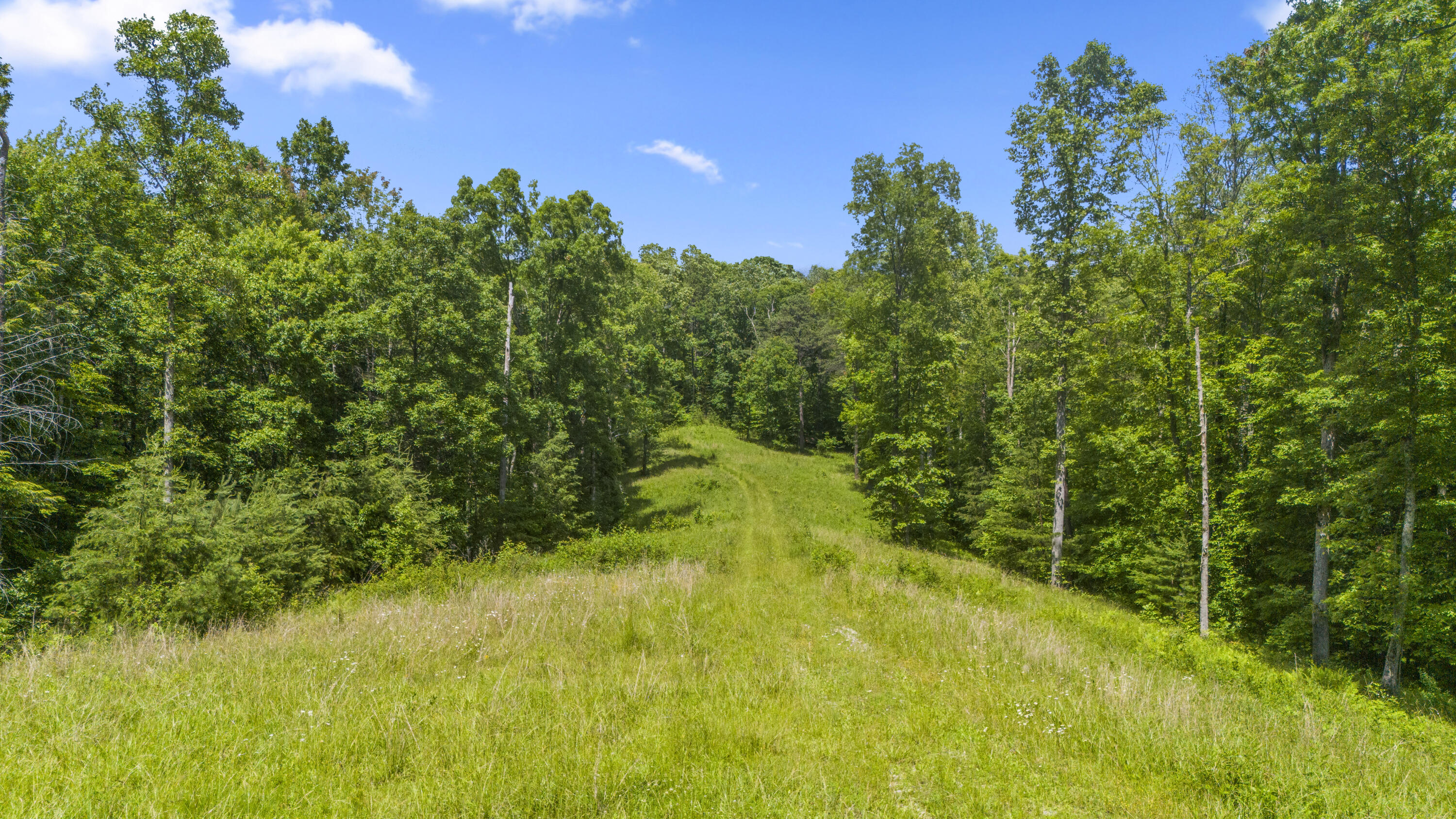 0 Shoemaker Ridge Zoe, KY 41397 - Photo 3 of 33 DJI_20250608152835_0043_D