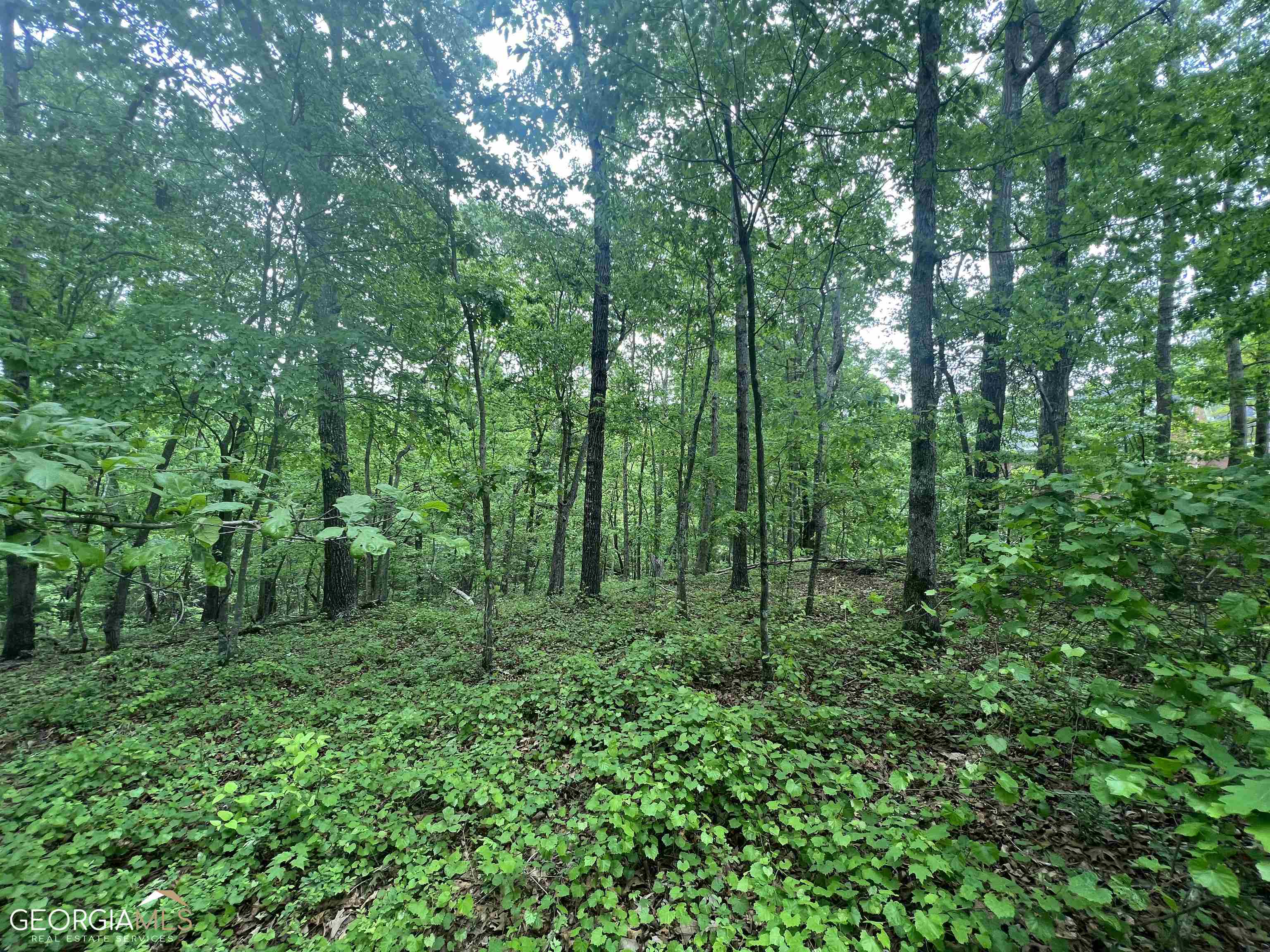 Lot 11 Berry Ridge Cornelia, GA 30531 - Photo 1 of 1 Gallery Image 1