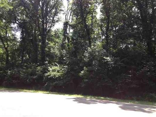 7270-2 South Ridge Road Oregon, IL 61021 - Photo 1 of 1 a view of a yard
