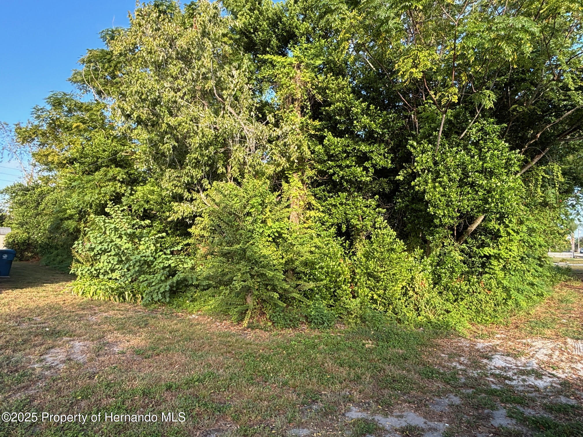 Lot 5 Manchester Street Spring Hill, FL 34607 - Photo 4 of 6