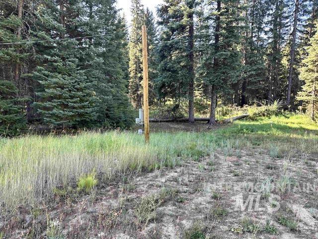 2195 Davy Road Donnelly, ID 83615 - Photo 3 of 3