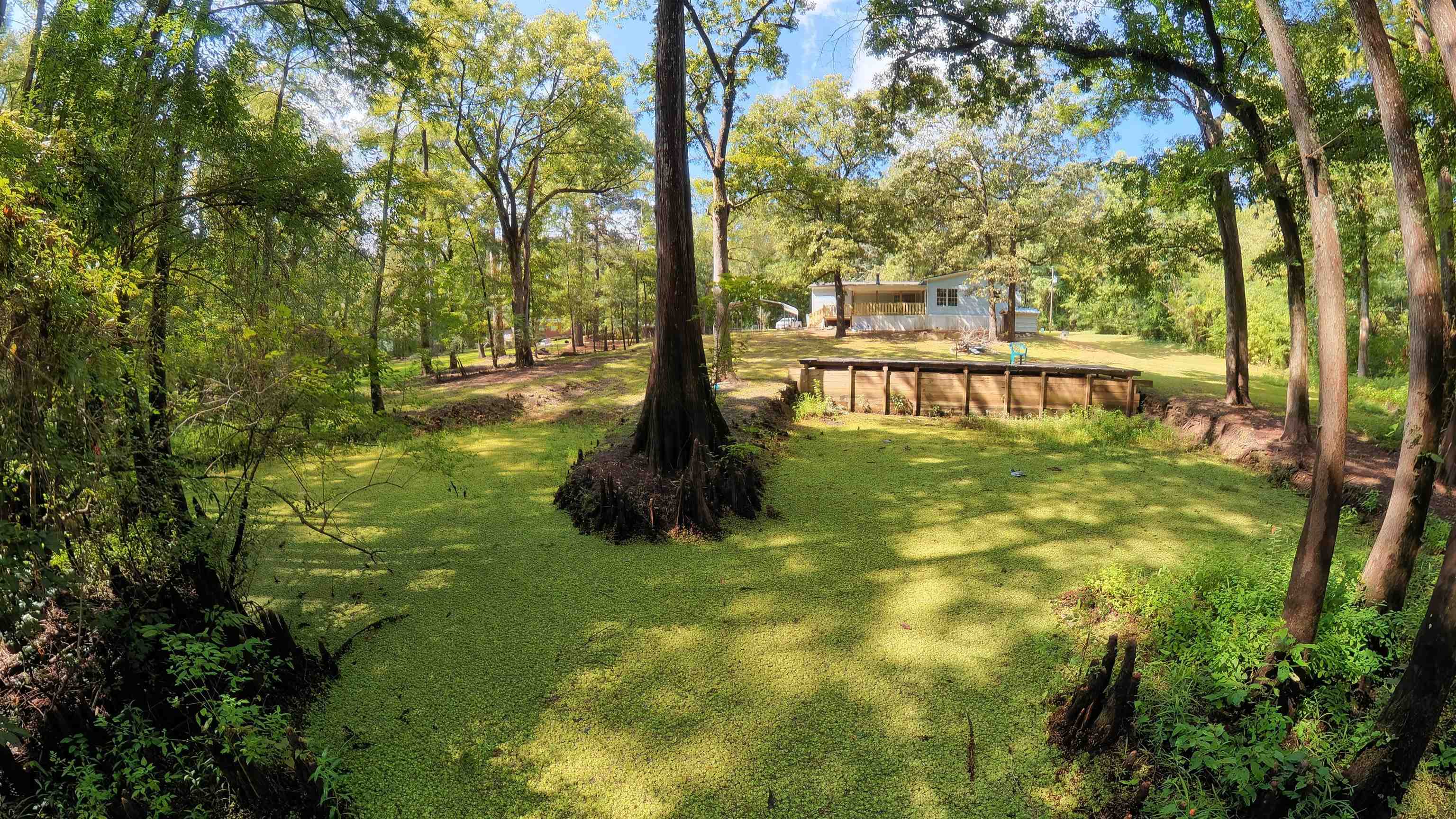 251 East Longs Camp Road Karnack, TX 75661 - Photo 26 of 34 Gallery Image 26