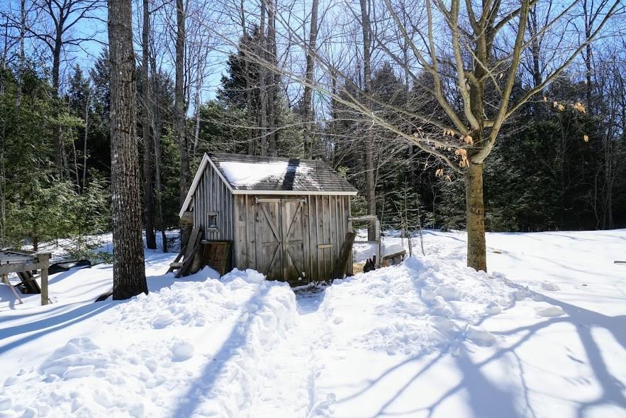 80-82 Echo Road Brunswick, ME 04011 - Photo 24 of 27 Shed/chicken coup.