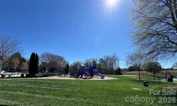 a view of a park with large trees