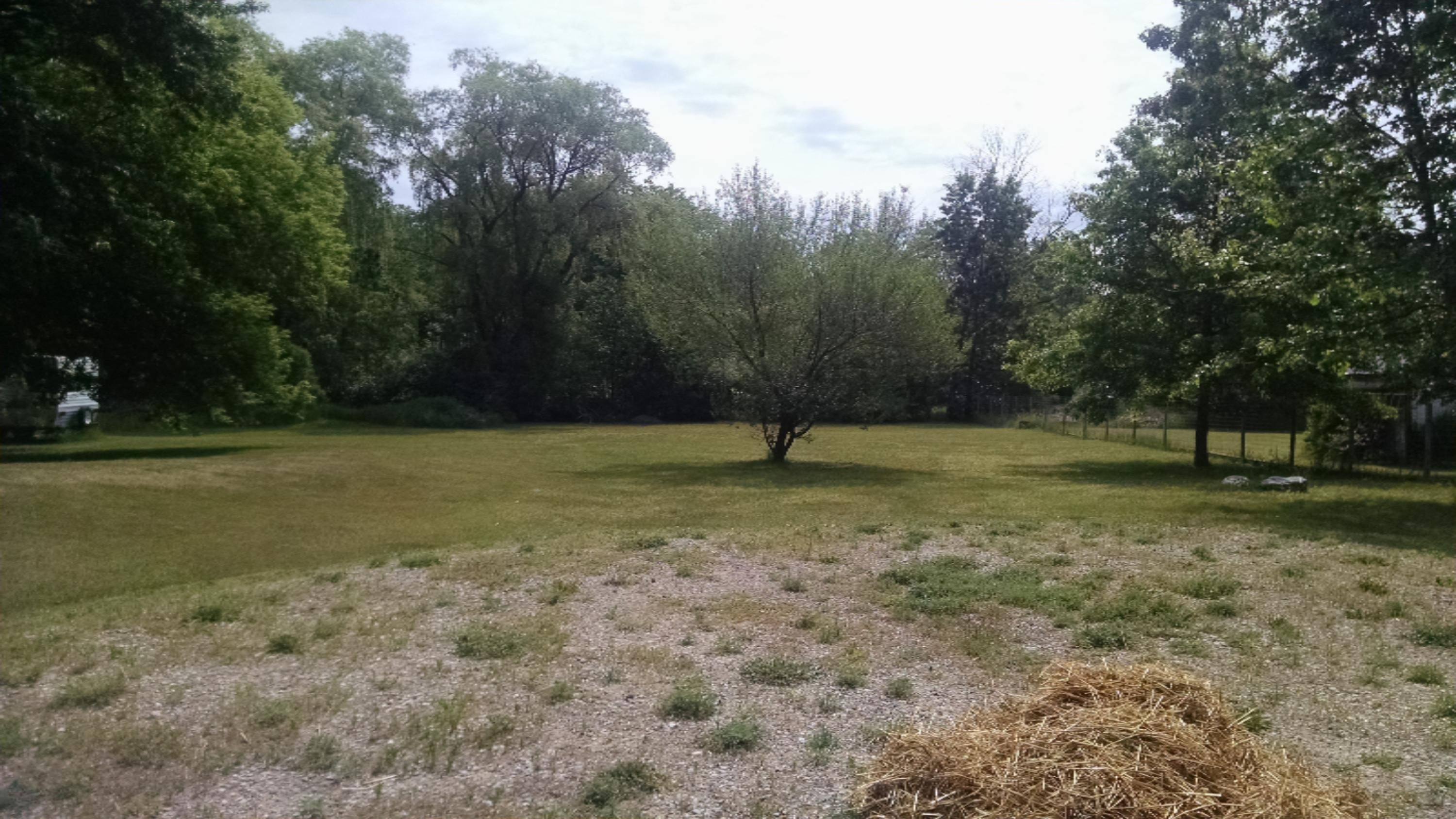 6305 Mt Hope Road South Carson City, MI 48811 - Photo 11 of 14 IMG_20170609_111406803