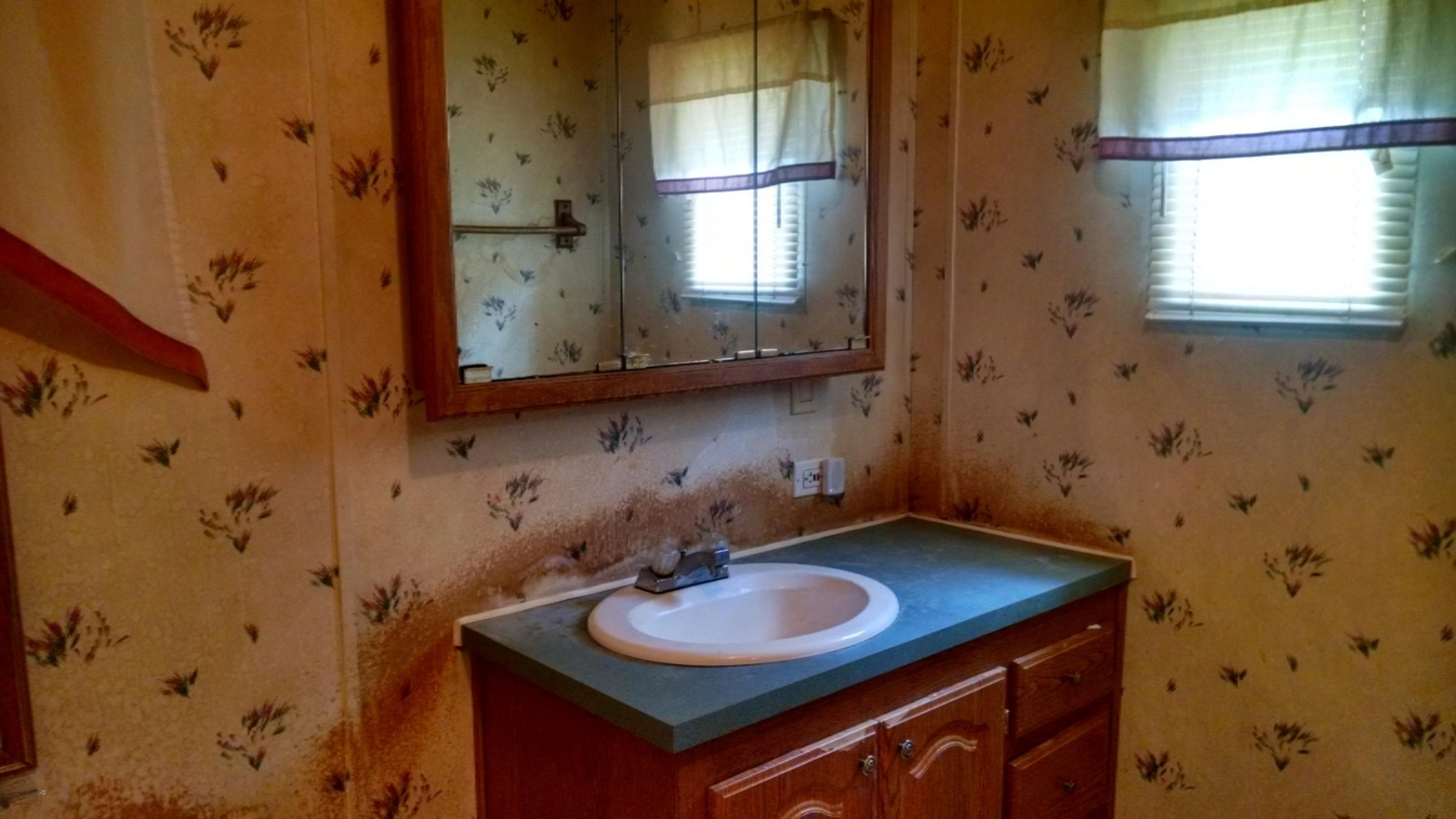6305 Mt Hope Road South Carson City, MI 48811 - Photo 7 of 14 IMG_20170609_111217838_HDR