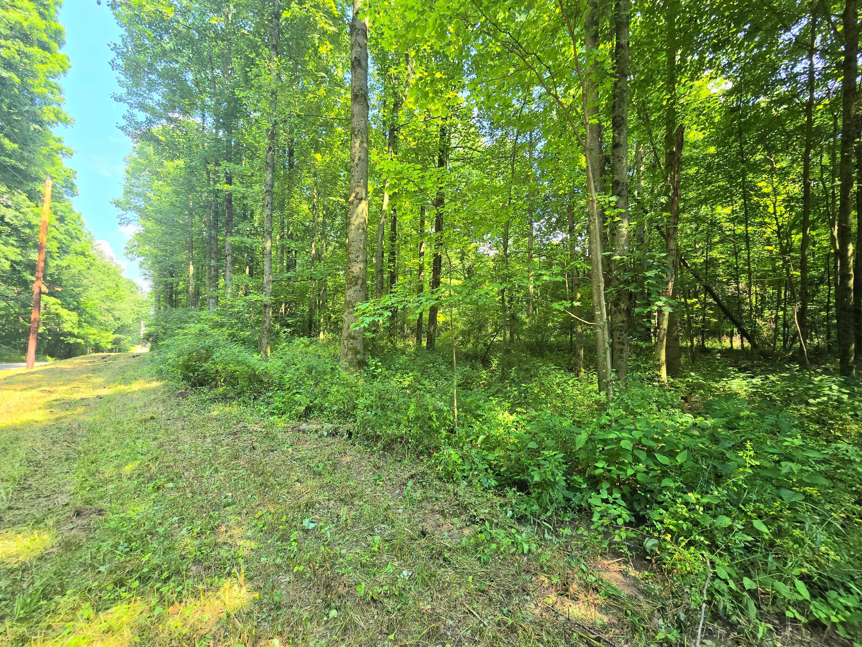 9026-1 Gregg Road Fredericktown, OH 43019 - Photo 16 of 16 1000062286