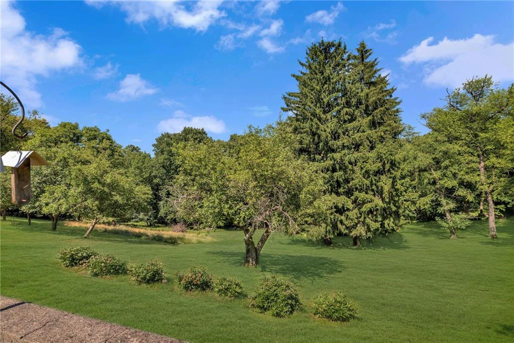 421 Friel Road Baden, PA 15005 - Photo 23 of 23 a garden view with a lake