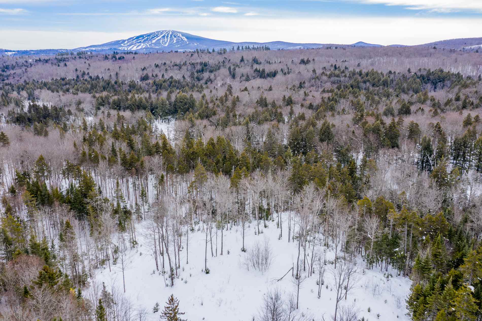 214 French Hollow Road, Unit 4 Winhall, VT 05340 - Photo 16 of 34 Gallery Image 16