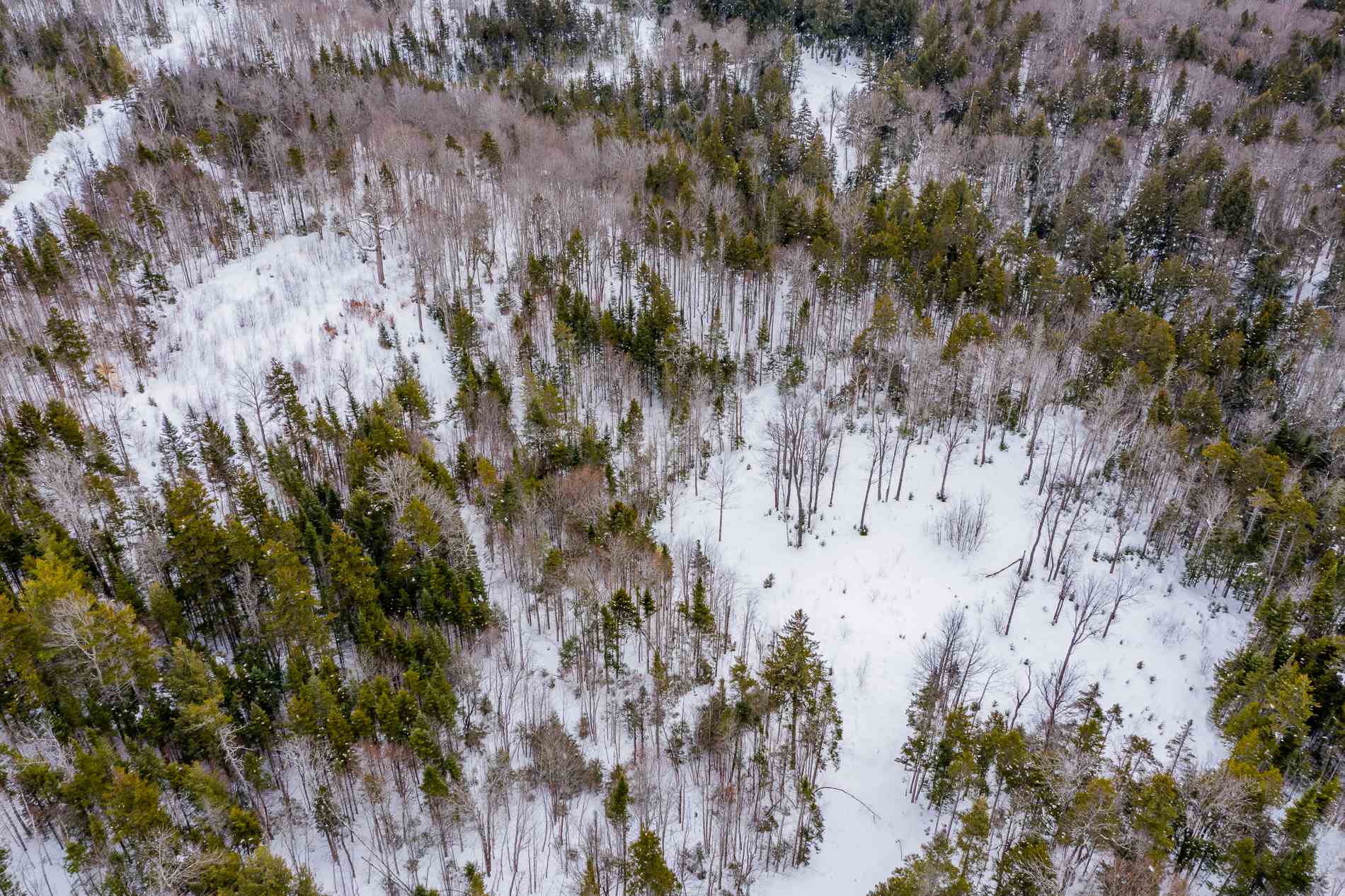 214 French Hollow Road, Unit 4 Winhall, VT 05340 - Photo 27 of 34 Gallery Image 27