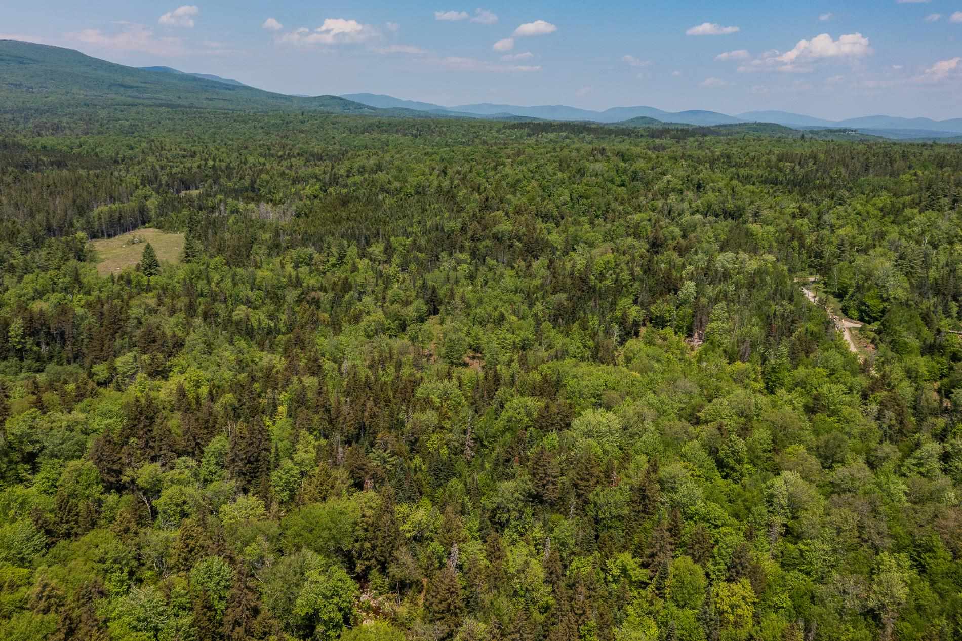 214 French Hollow Road, Unit 4 Winhall, VT 05340 - Photo 31 of 34 Gallery Image 31
