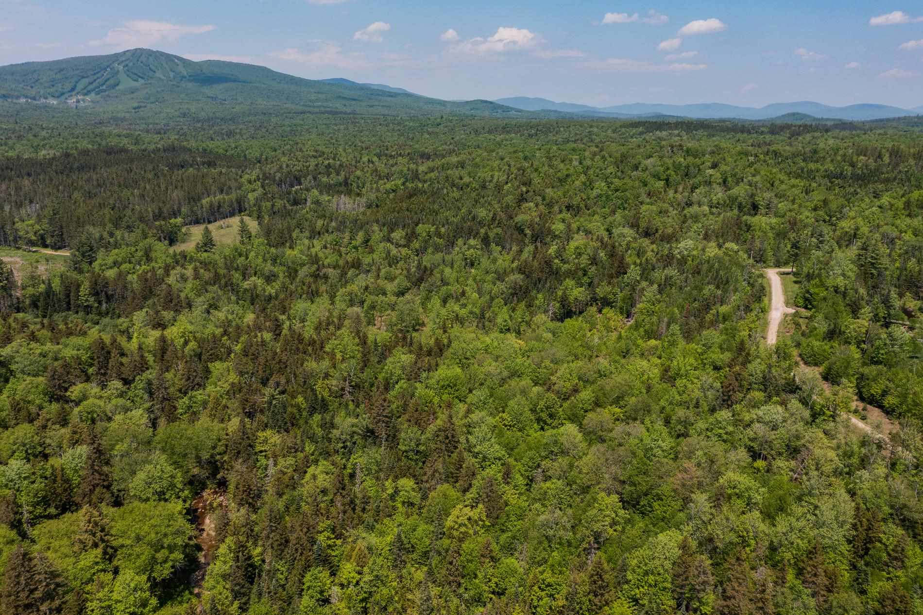 214 French Hollow Road, Unit 4 Winhall, VT 05340 - Photo 32 of 34 Gallery Image 32