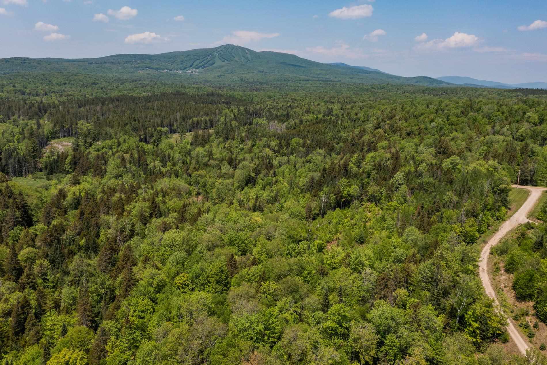 214 French Hollow Road, Unit 4 Winhall, VT 05340 - Photo 33 of 34 Gallery Image 33