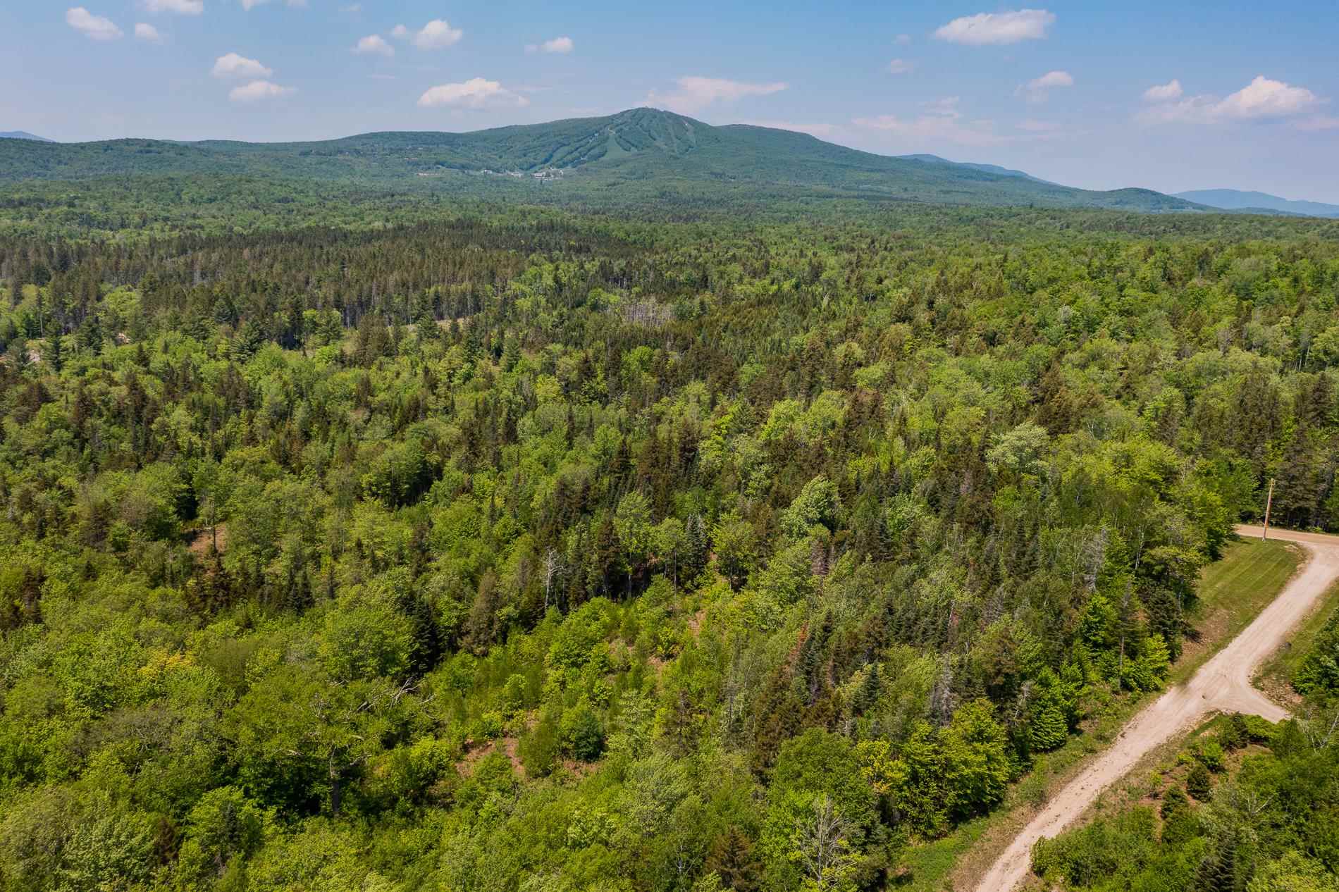 214 French Hollow Road, Unit 4 Winhall, VT 05340 - Photo 34 of 34 Gallery Image 34