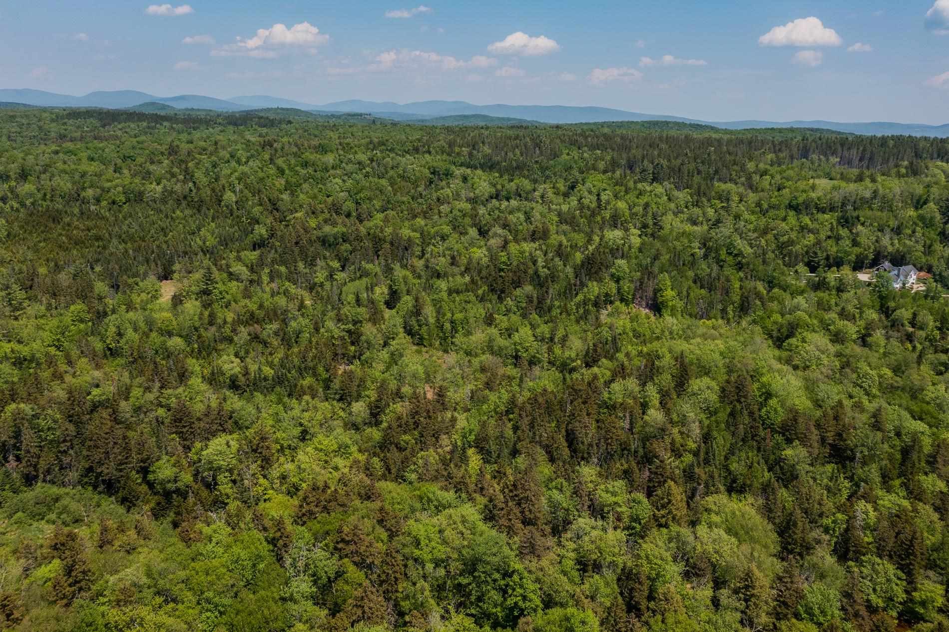 214 French Hollow Road, Unit 4 Winhall, VT 05340 - Photo 5 of 34 Gallery Image 5