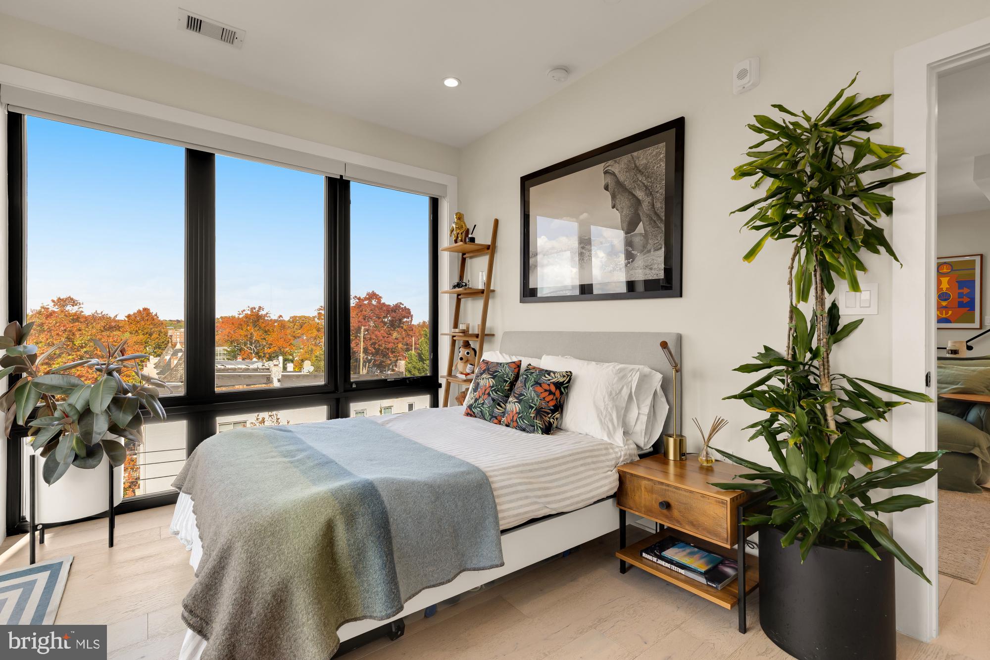 3933 14th Street Northwest, Unit 8 Washington, DC 20011 - Photo 14 of 28 a bedroom with a large bed and a potted plant