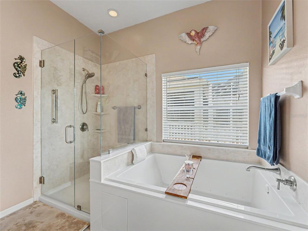 5746 Riva Ridge Drive Wesley Chapel, FL 33544 - Photo 19 of 51 Gallery Image 19