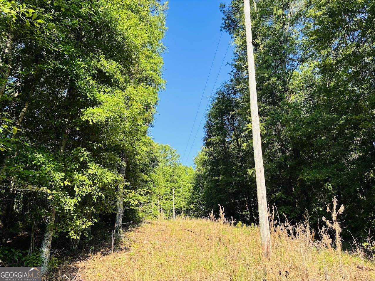 0 Creek Road, Unit LOT 3 Ashland, AL 36251 - Photo 4 of 16