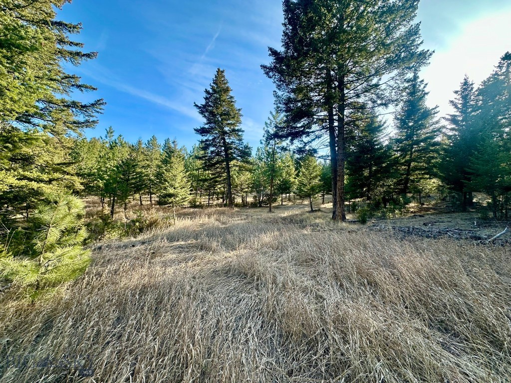 Tbd Martinez Gulch Road Clancy, MT 59634 - Photo 1 of 14 Gallery Image 1