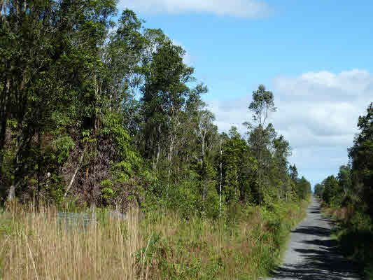65 Kaleponi Road Pahoa, HI 96778 - Photo 1 of 3 Gallery Image 1