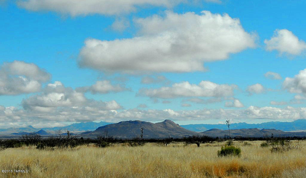 326 Ironwood Road Pearce, AZ 85625 - Photo 8 of 36 Gallery Image 8