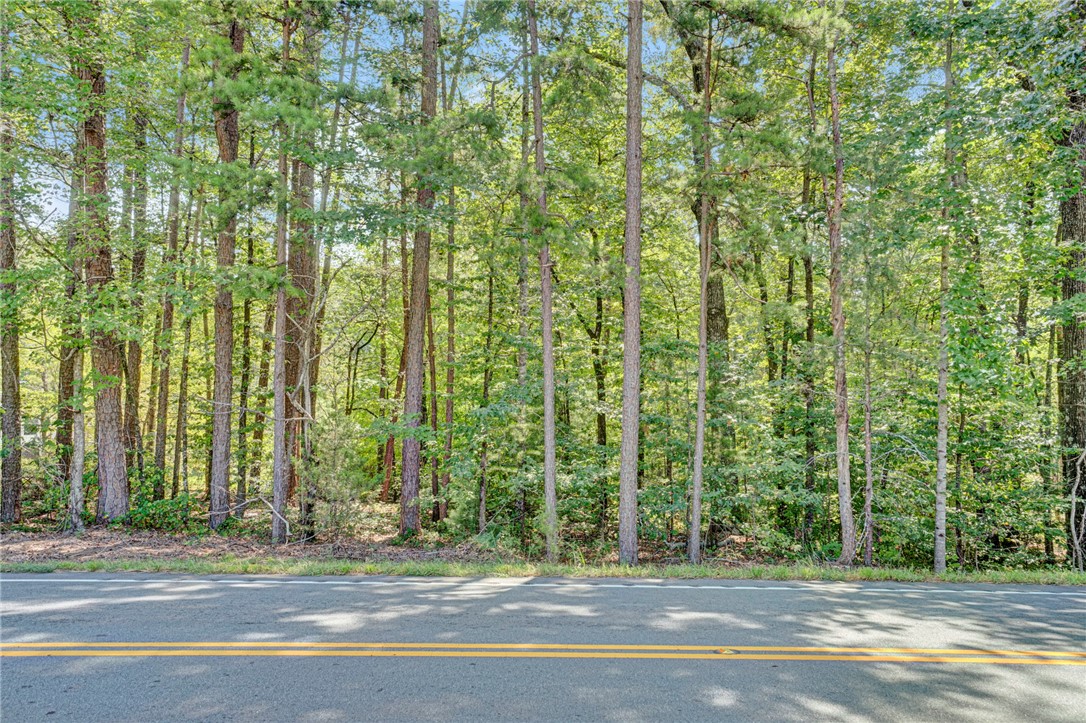 0 Burnt Tanyard Road West Union, SC 29696 - Photo 3 of 7 Towering trees line the paved road bordering this peaceful vacant land.