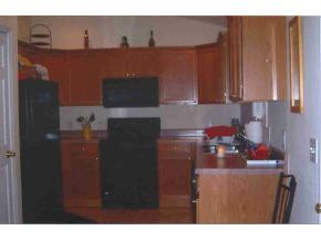 149 Rauhof Road Telford, TN 37690 - Photo 4 of 9 Photo 4