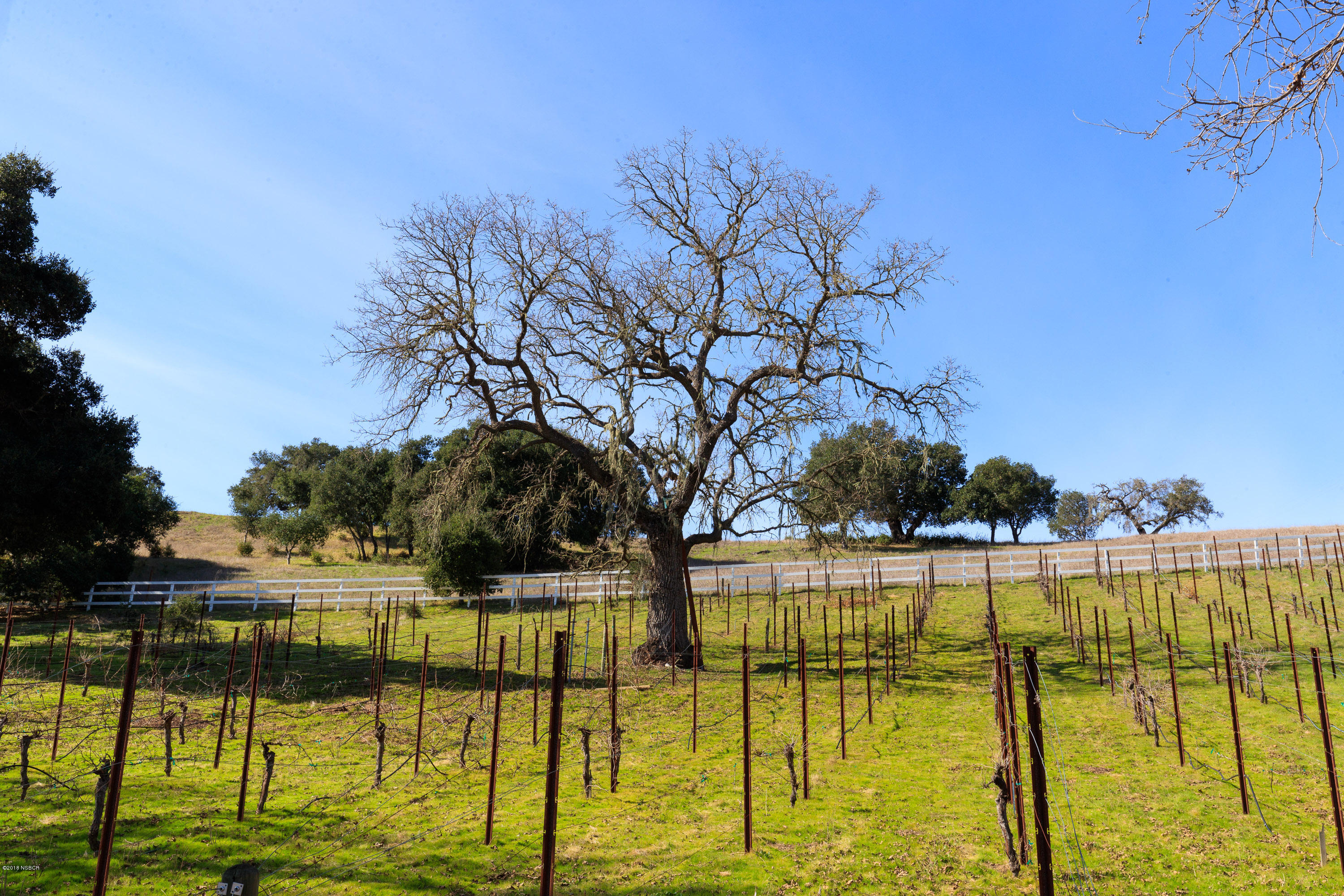 1263 Quail Ridge Road Solvang, CA 93463 - Photo 22 of 26 1251 QUAIL RIDGE WEB-17