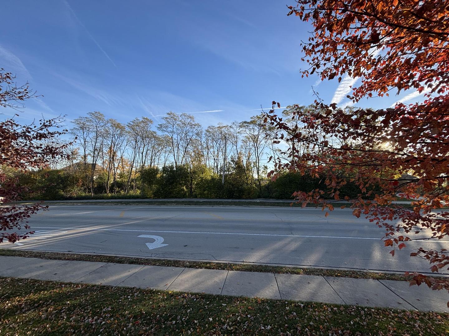 21647 South Owens Road Mokena, IL 60448 - Photo 2 of 2 a view of a yard