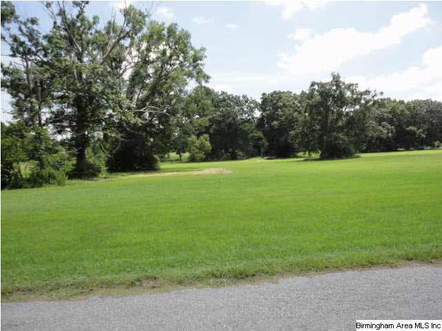 Greensport Road, Unit 7 Ashville, AL 35953 - Photo 6 of 8