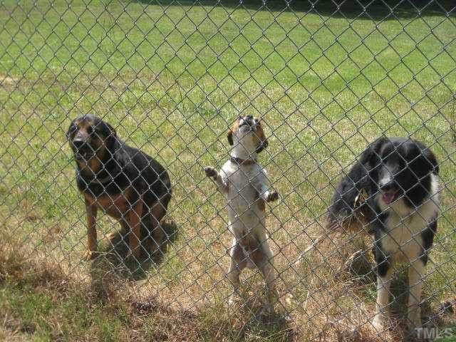 8621 Old Stage Road Raleigh, NC 27603 - Photo 25 of 25 Even the dogs love it here..