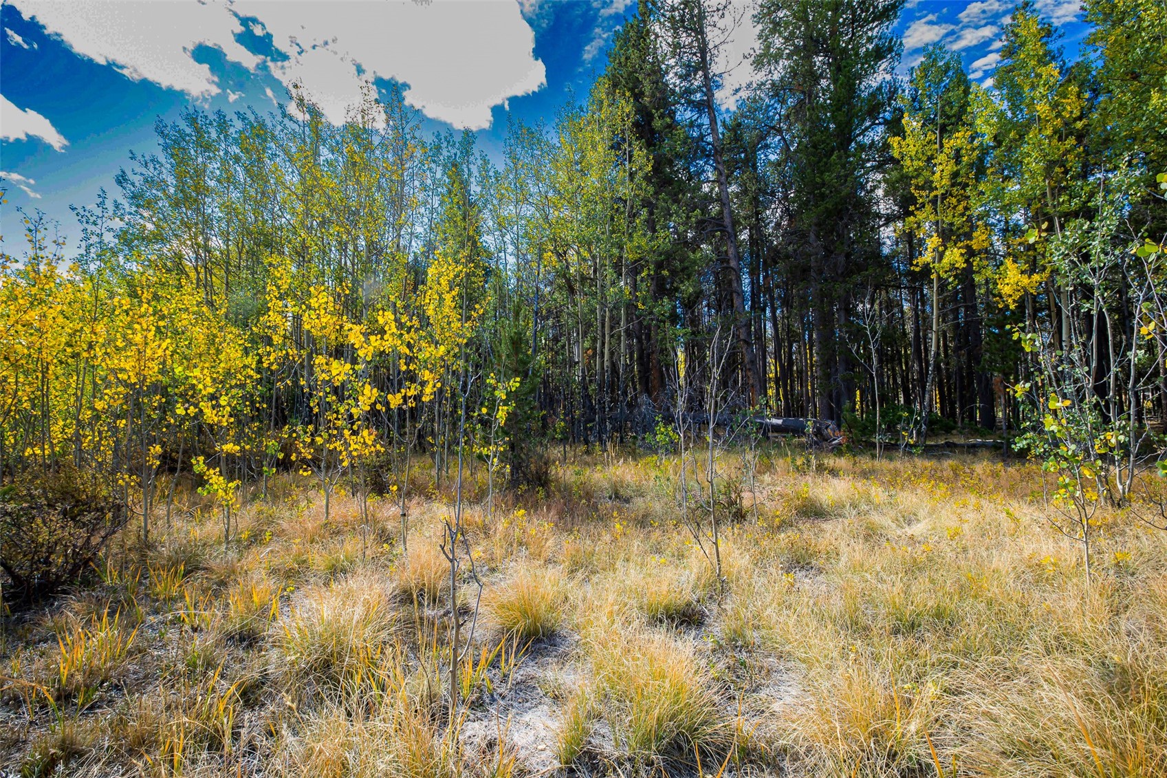 660 Renshaw Road Fairplay, CO 80440 - Photo 15 of 40 Gallery Image 15