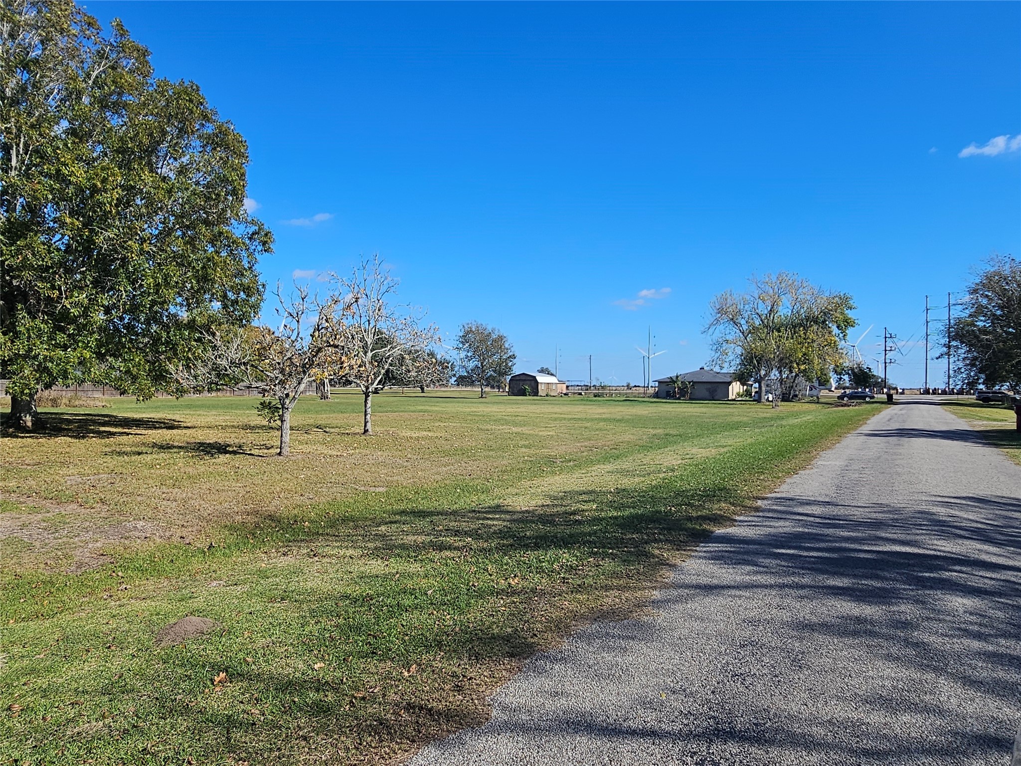 0 Chadwick Road Bay City, TX 77414 - Photo 4 of 8 a view of yard with tree