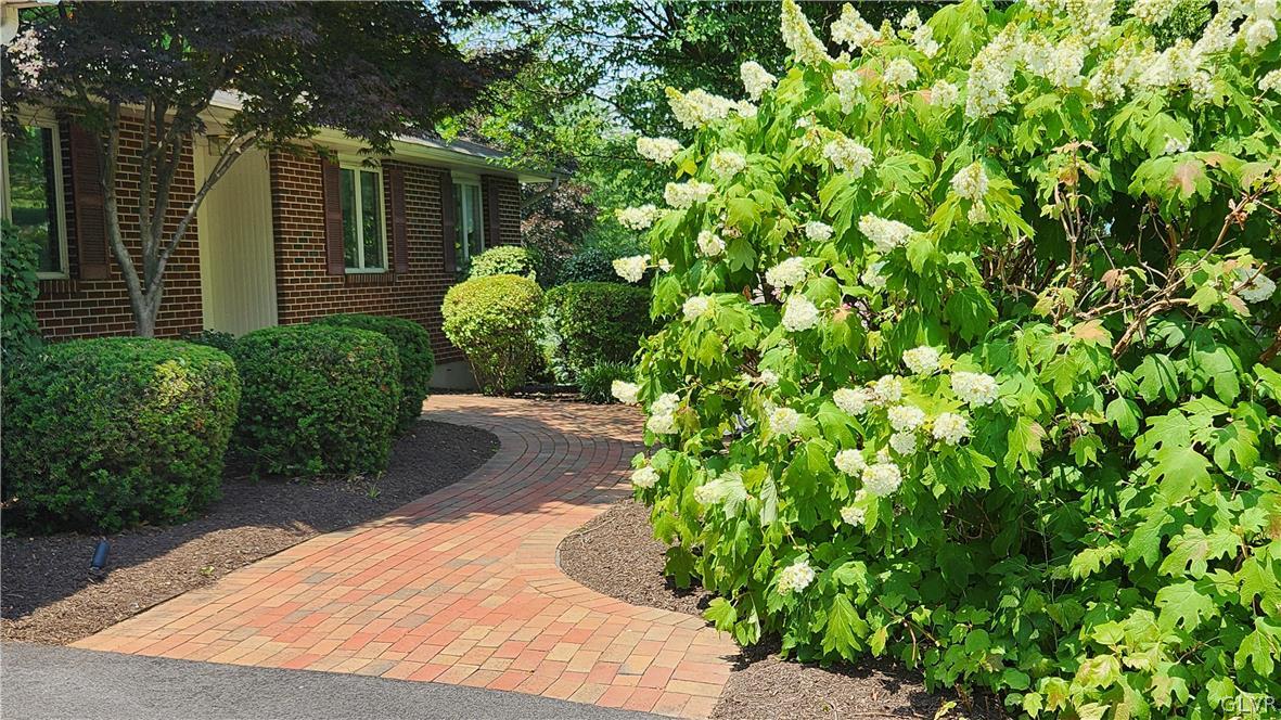 403 Georgetown Road Nazareth, PA 18064 - Photo 4 of 50 a view of a backyard with plants