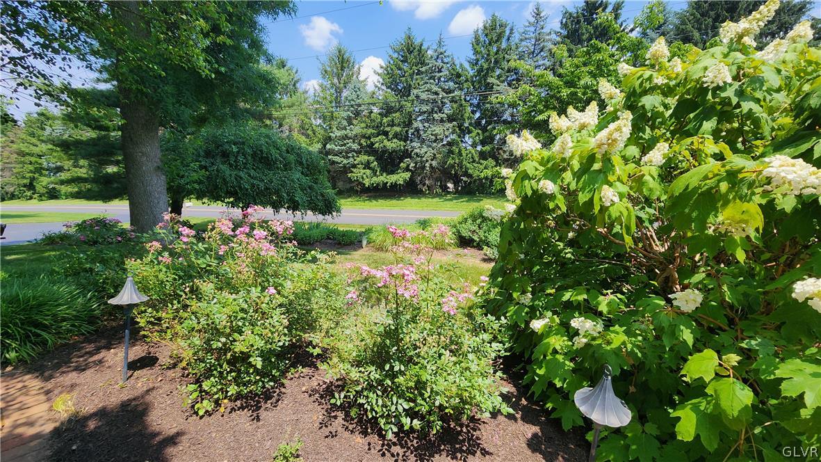 403 Georgetown Road Nazareth, PA 18064 - Photo 48 of 50 a view of a garden with plants and large trees