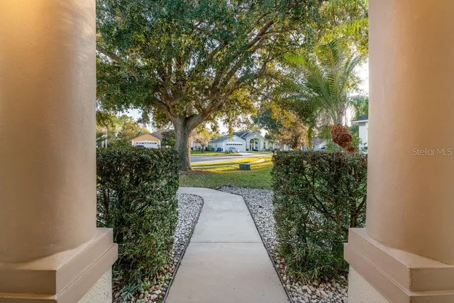 a view of a pathway both side of building