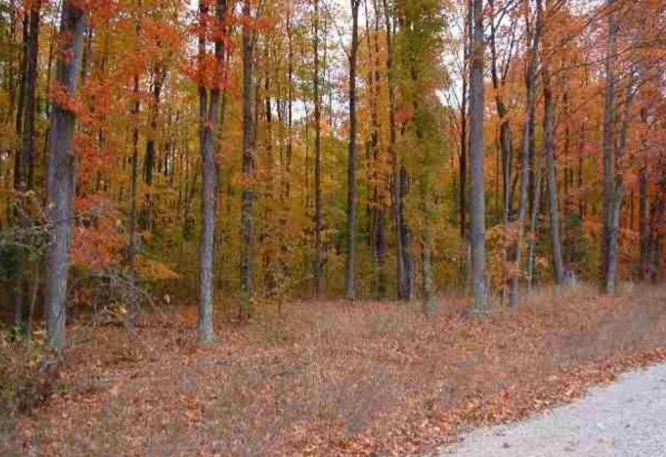0 Aletha Road Interlochen, MI 49643 - Photo 2 of 5