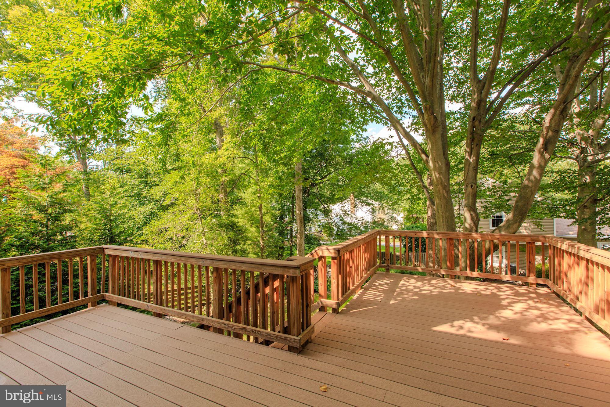 8808 Cuttermill Place Springfield, VA 22153 - Photo 24 of 29 Exterior (Rear)