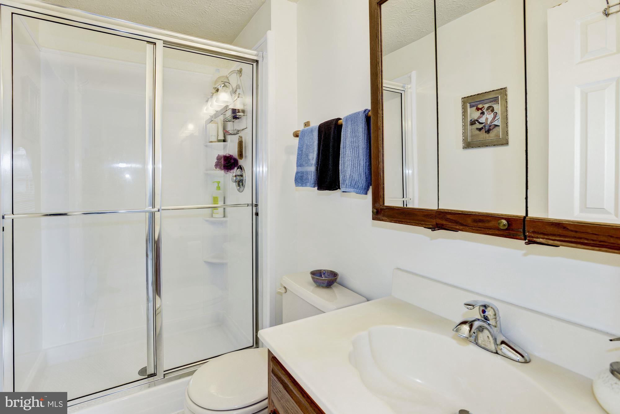 6172 Morning Glory Road Alexandria, VA 22310 - Photo 25 of 37 Master Bath with new shower