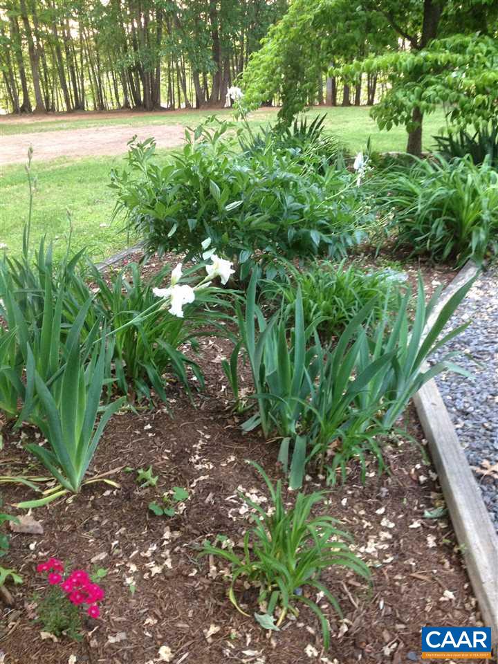 1537 Long Acre Road Palmyra, VA 22963 - Photo 42 of 46 Gallery Image 42