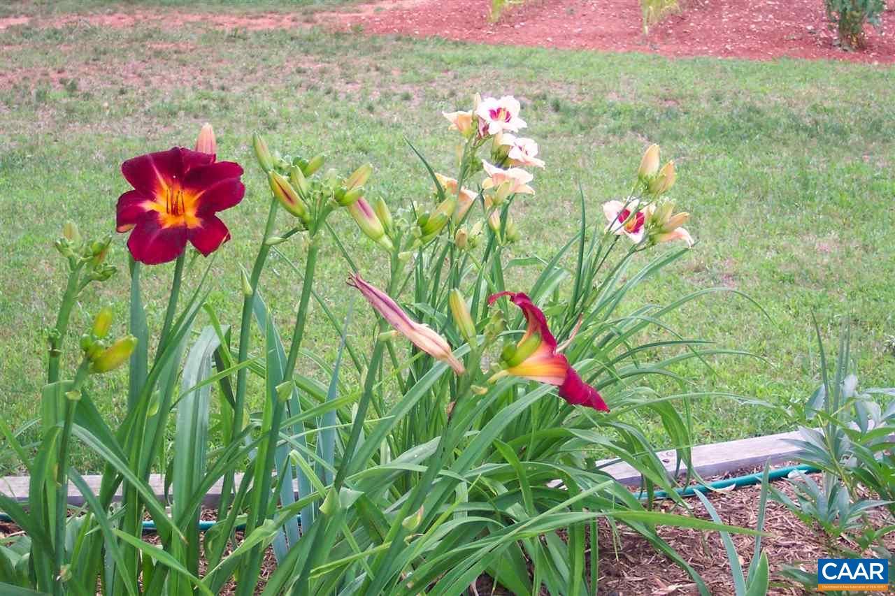 1537 Long Acre Road Palmyra, VA 22963 - Photo 44 of 46 Gallery Image 44