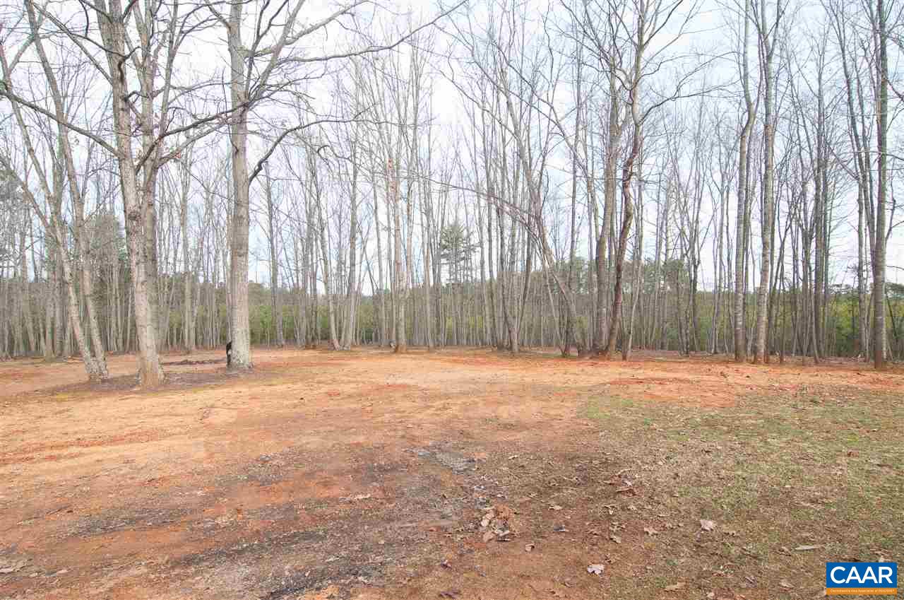 1537 Long Acre Road Palmyra, VA 22963 - Photo 6 of 46 Gallery Image 6