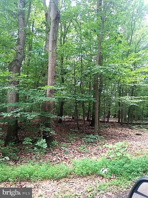 Big Woods Road Dickerson, MD 20842 - Photo 1 of 2 a view of a backyard with trees