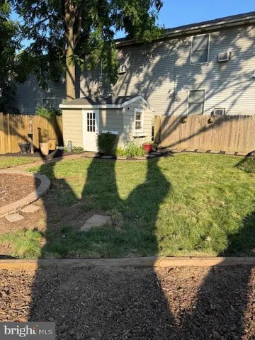 a view of a yard with plants and a large tree
