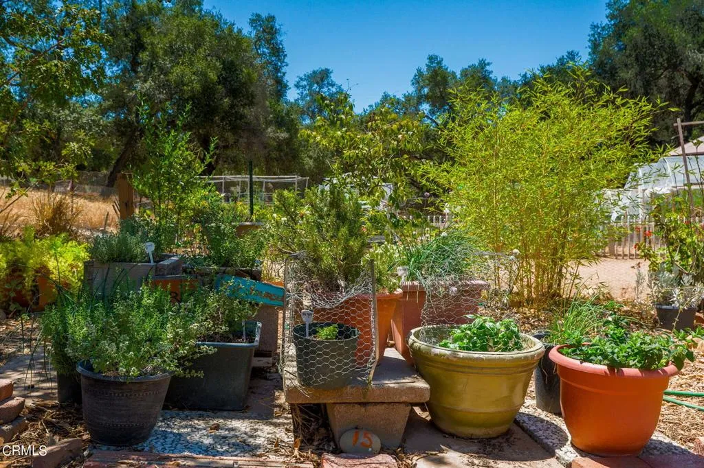1273 South Rice Road, Unit 100 Ojai, CA 93023 - Photo 30 of 31 a view of a backyard with sitting area and potted plants
