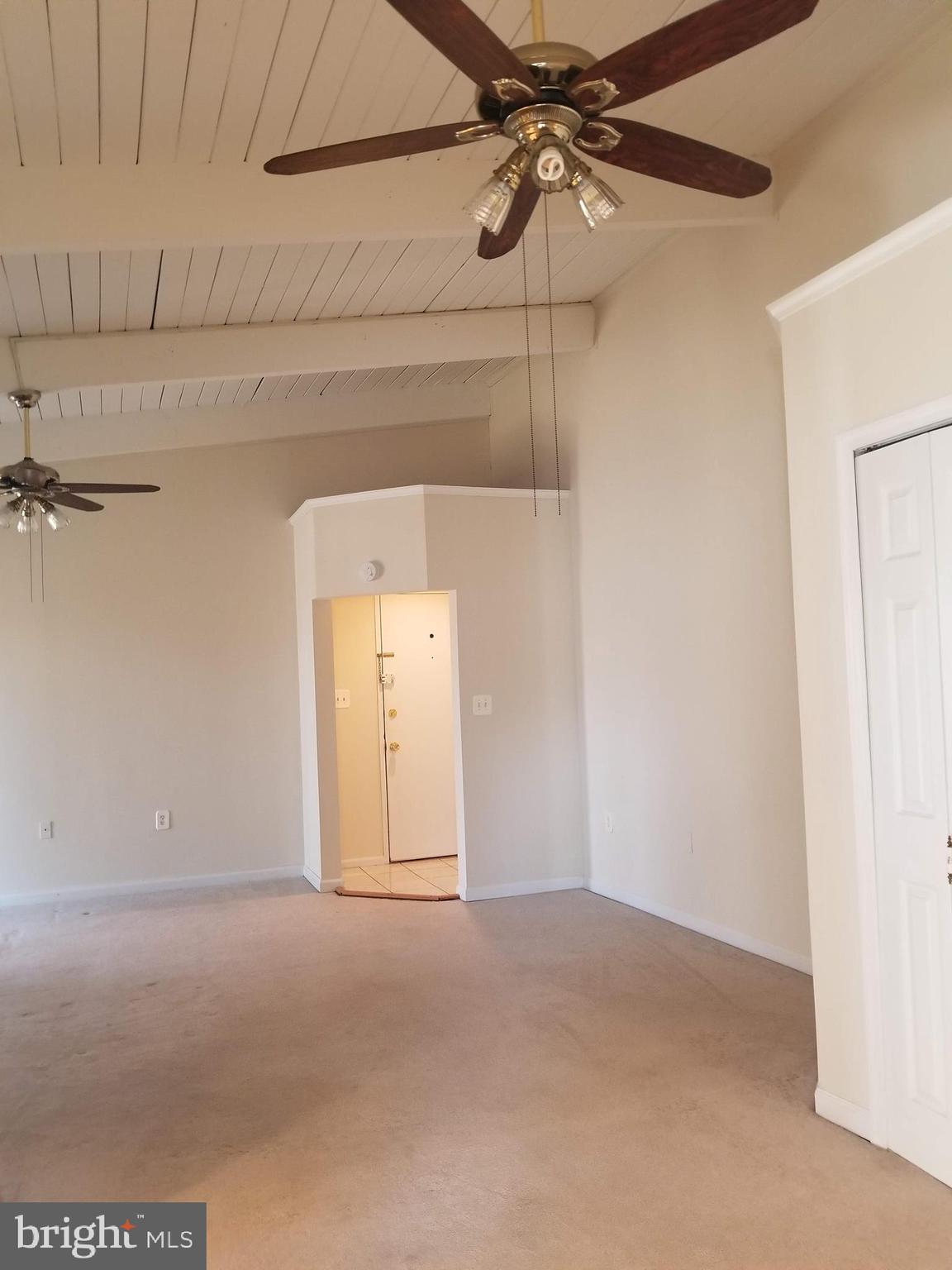 11400 Cherry Hill Road, Unit 304 Silver Spring, MD 20904 - Photo 7 of 22 Vaulted ceilings