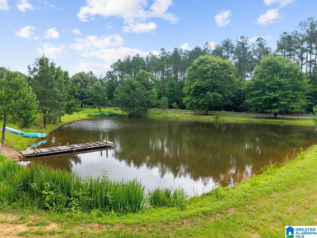 2040 Bud Mountain Road Blountsville, AL 35031 - Photo 38 of 47