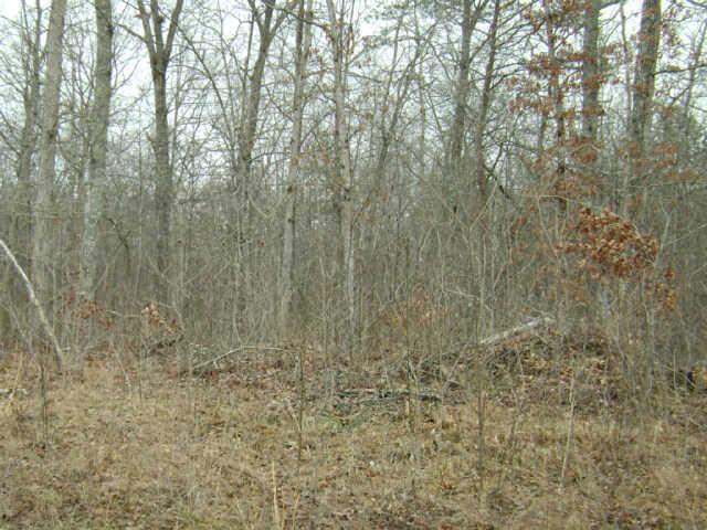 24 Pigeon Spur Road Tracy City, TN 37387 - Photo 11 of 12 Build your dream home here