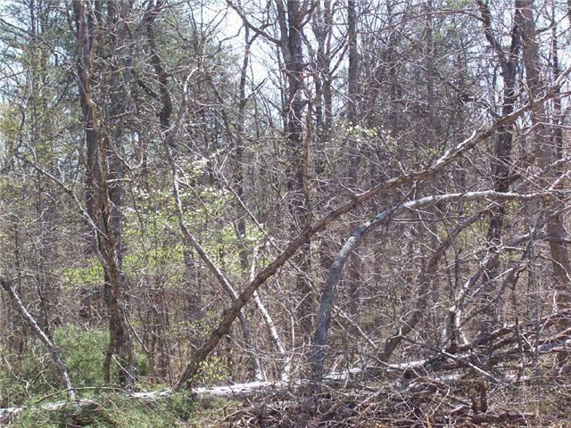 24 Pigeon Spur Road Tracy City, TN 37387 - Photo 2 of 12 Nice wooded lot