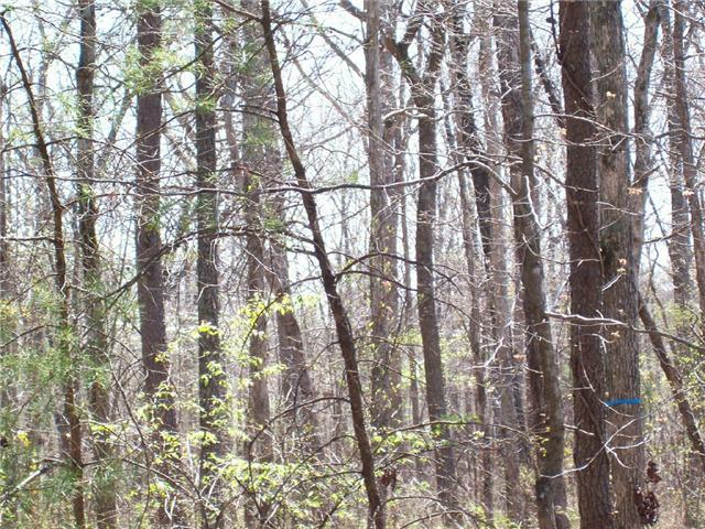 24 Pigeon Spur Road Tracy City, TN 37387 - Photo 3 of 12 Growing subdivision
